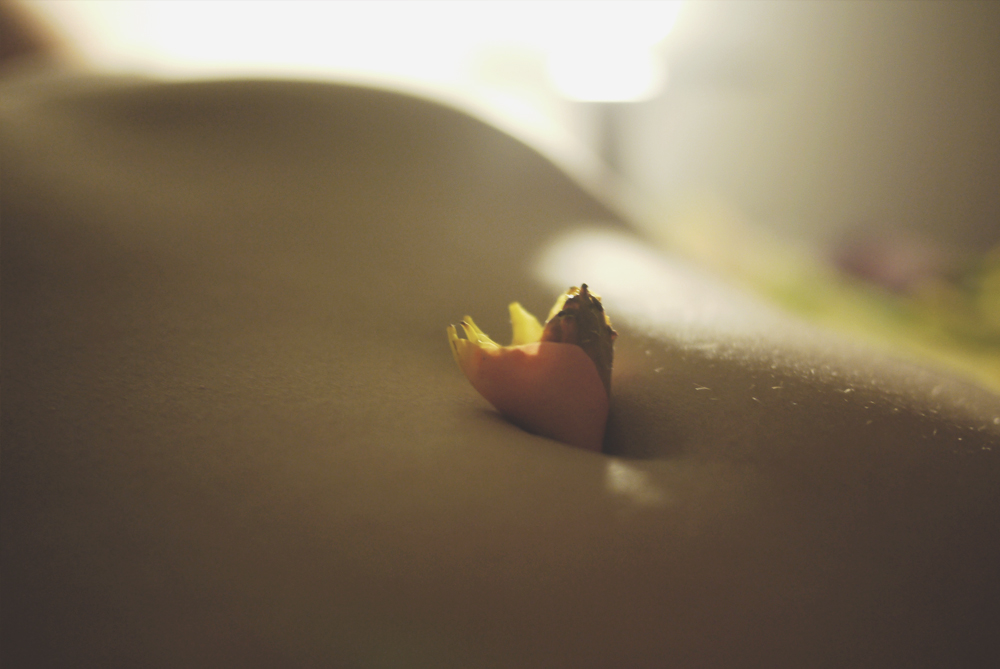 文藝范美女照片