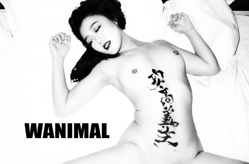 洋馬好不好比比才知道