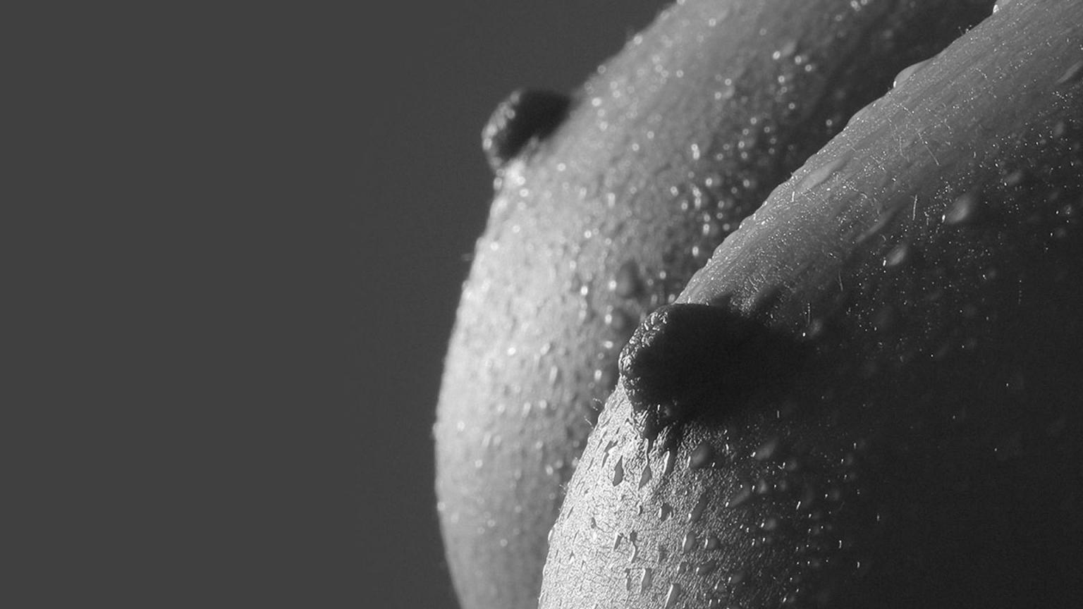 永遠吃不夠的美乳