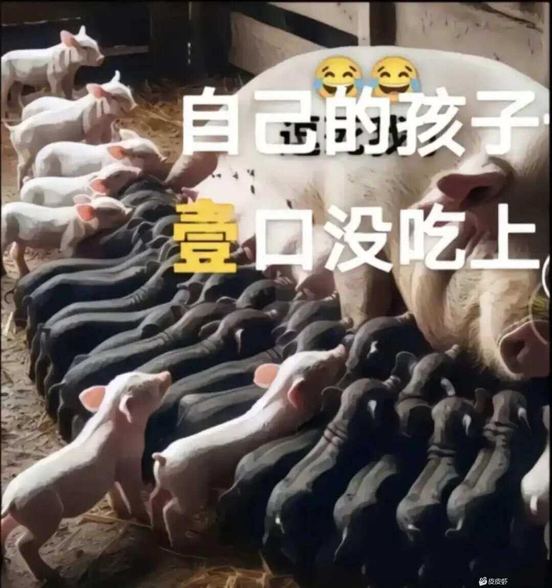 天氣晴的反差嬌妻情趣內衣真空無內外出日常